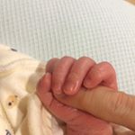 12502025_896745933772147_475478571_a