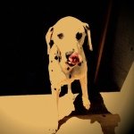 11850100_721319771347140_1016092593_a