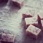 11950632_1489070011413747_124386433_a