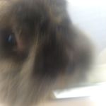 12345747_1661721744067757_1426477240_a