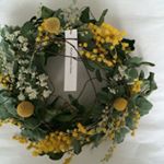 12599353_417515125106047_158718496_a