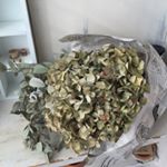 12145086_1508088902842191_1993686274_a