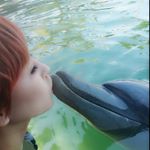 11820434_795392620577438_247088349_a