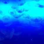 10488706_1501290916767227_1946092136_a