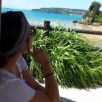 11326711_679478052196759_1868639174_a