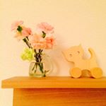 12534668_1547305398916847_1196896300_a
