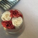 12393779_552606991569834_588862676_a