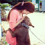 12142345_1519297755035644_302983847_a