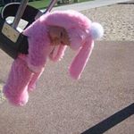 12523733_202668180085284_1216170735_a