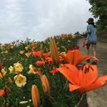 11311089_671813609585287_513347151_a