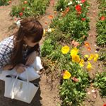 11910072_509270125894581_1378920818_a