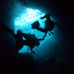 11098487_801064493313201_1616699097_a