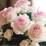 11809820_1609585542626230_599171046_a