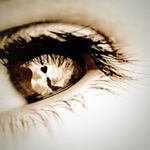 11312495_978190145554109_798664508_a