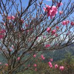 11374771_761920893928377_490387316_a