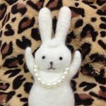 1517022_1625940081026127_801247246_a