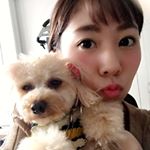 12501740_891212720996320_441607073_a