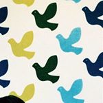 12317468_1646134535636429_1330360274_a