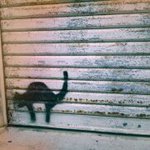 11420741_443515302502825_1548447899_a