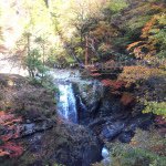 12353461_154604044897023_6976680_a