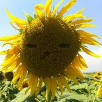 10691668_771608649566941_1934185078_a