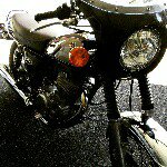 11242384_771929159589394_1108237078_a