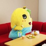 11849822_889843377756443_1115734874_a