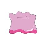 12301228_1633471226913676_1815036256_a