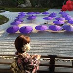 12356617_540019612827949_822340533_a