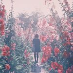 12547609_1559003934425322_128250124_a