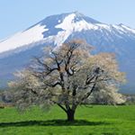 12338620_1654361758165529_1087429097_a