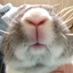 10617038_345464985622740_1817502198_a