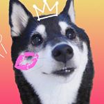 12107417_426842410849098_1811086788_a