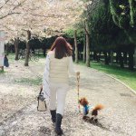 11142937_970762149608894_586307736_a