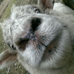 10507926_1685571741686785_1596899846_a