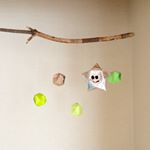 11917933_964623193599847_1186169633_a