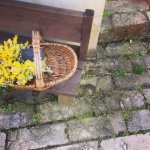 11189666_1419247995059662_58432904_a