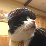 11258848_938148406237958_1976454661_a