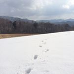 12523555_1676427149294100_1929196077_a