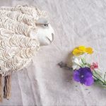 12237097_749558108483959_2008404477_a