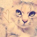 11364004_541001199398094_1630126585_a