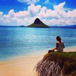 11850355_1485594091737315_890641892_a