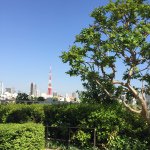 11358310_1631153233767733_1020572831_a