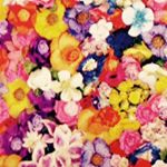 12224515_928813020531842_1656730459_a