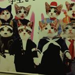 12105053_1653993754878341_2082894759_a