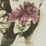 11385626_1594606787475779_115392430_a