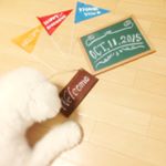 11820630_141619389512684_2037749596_a