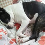 12145496_526241997533493_1972974241_a