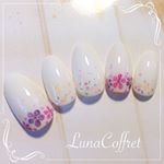 12545512_505617516291686_1639743573_a