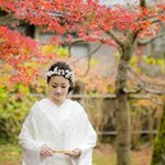 12393642_775913719221074_648780629_a